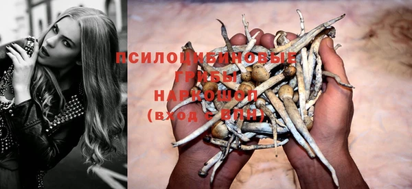 дмт Белокуриха