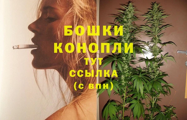 дмт Белокуриха