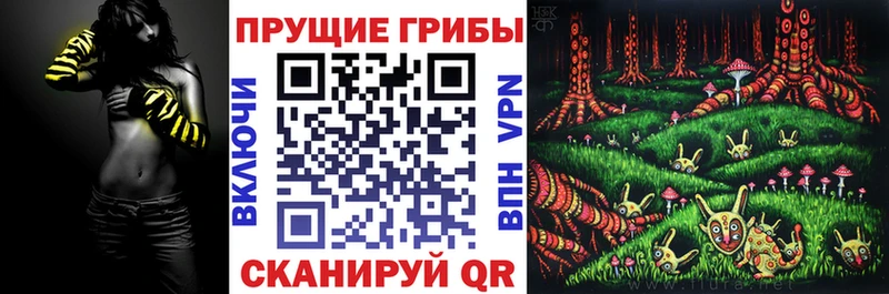 Купить где  Городовиковск  Галлюциногенные грибы Magic Shrooms 